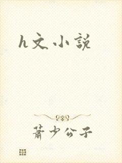 h文小说