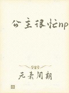 公主很忙npc封面