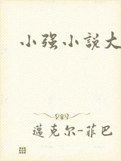 小强小说大全
