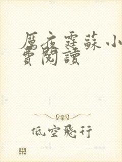 厉夜霆苏小汐免费阅读