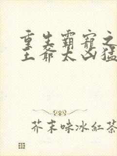 重生霸宠之摄政王爷太凶猛