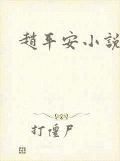 赵平安小说主角
