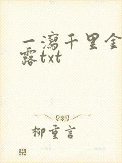 一泻千里金银花露txt封面