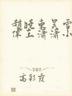 赵晓东吴雪晴郑伟王潇潇小说名字封面