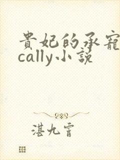 贵妃的承宠日常cally小说封面
