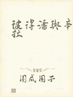 彼得潘与辛德瑞拉封面