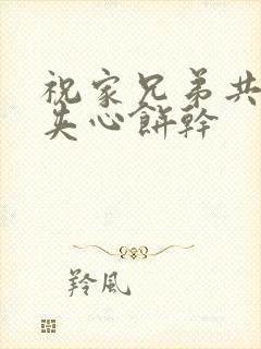 祝家兄弟共享后夹心饼干