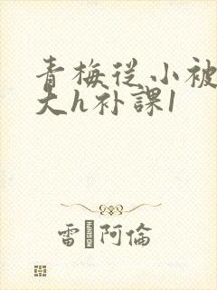 青梅从小被c到大h补课1