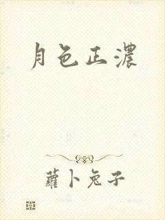 月色正浓封面