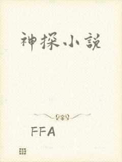 神探小说