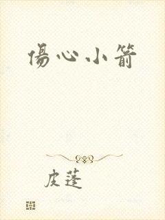 伤心小箭封面