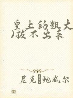 皇上的粗大(h)拔不出来封面