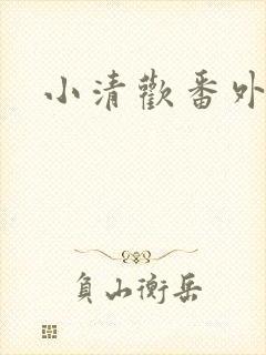 小清欢番外封面