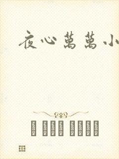 夜心万万小说封面