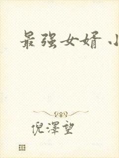 最强女婿 小说