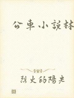 公车小说林蔓蔓封面