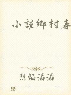 小说乡村春光封面
