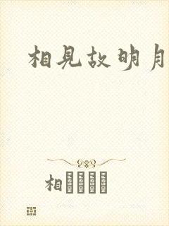 相见故明月
