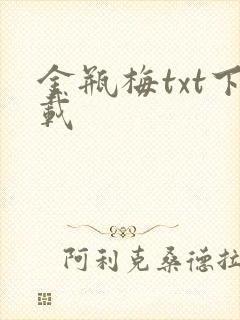 金瓶梅txt下载