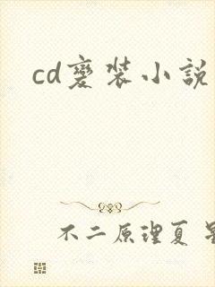 cd变装小说封面