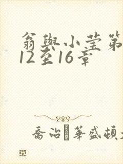 翁与小莹第十部12至16章