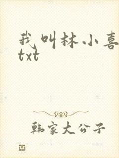 我叫林小喜小说txt