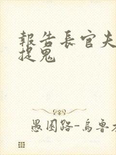 报告长官夫人在捉鬼封面