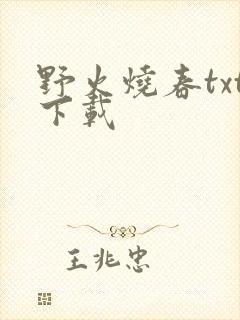 野火烧春txt下载