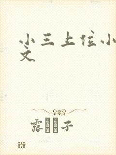 小三上位小说全文