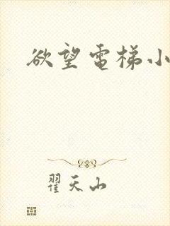 欲望电梯小说
