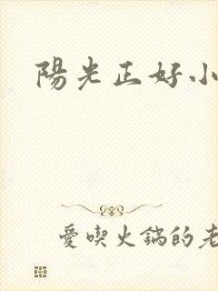 阳光正好小说