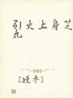 引火上身芝麻糖丸
