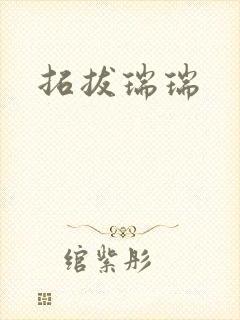 拓拔瑞瑞封面