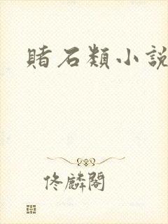 赌石类小说