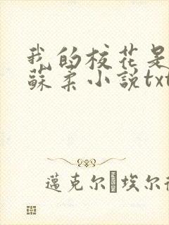 我的校花是福姬苏柔小说txt