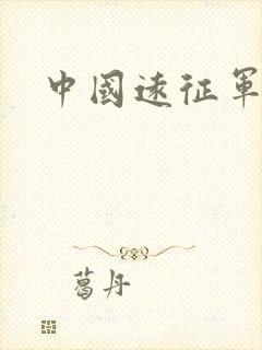 中国远征军小说