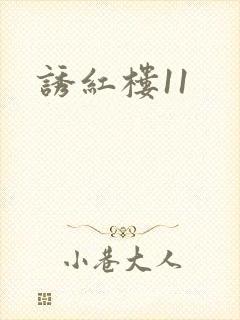 诱红楼11