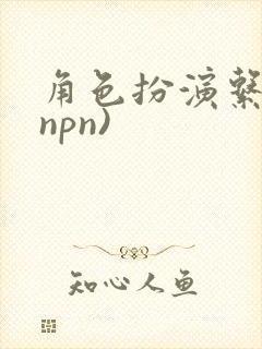 角色扮演系统(npn)