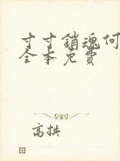 寸寸销魂何生祥全本免费