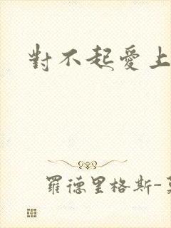 对不起爱上你