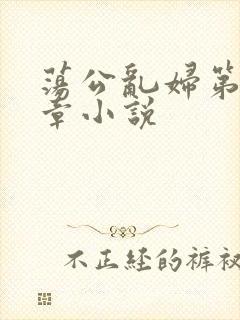 荡公乱妇第51章小说
