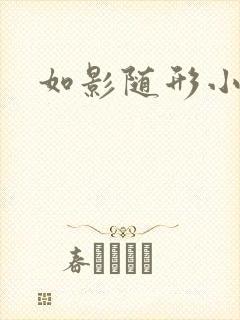 如影随形小说