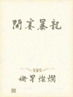 开赛暴龙
