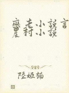 恋老小说言情网农村小说