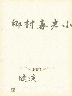 乡村春光小说封面