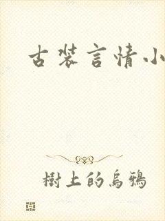 古装言情小说