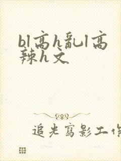 bl高h乱l高辣h文