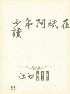 少年阿斌在线阅读