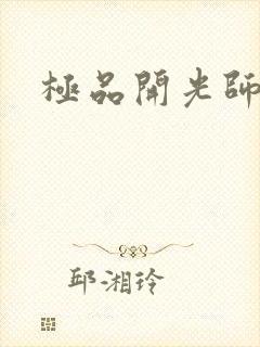 极品开光师封面