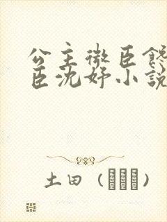 公主微臣馋了微臣沈妤小说